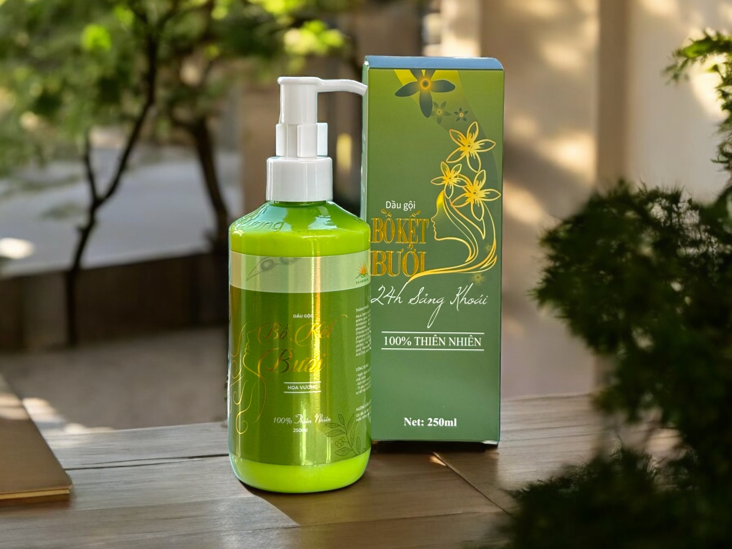 Dầu gội đầu bồ kết bưởi giảm gàu, giảm gãy rụng, kích thích mọc tóc - Ảnh 4