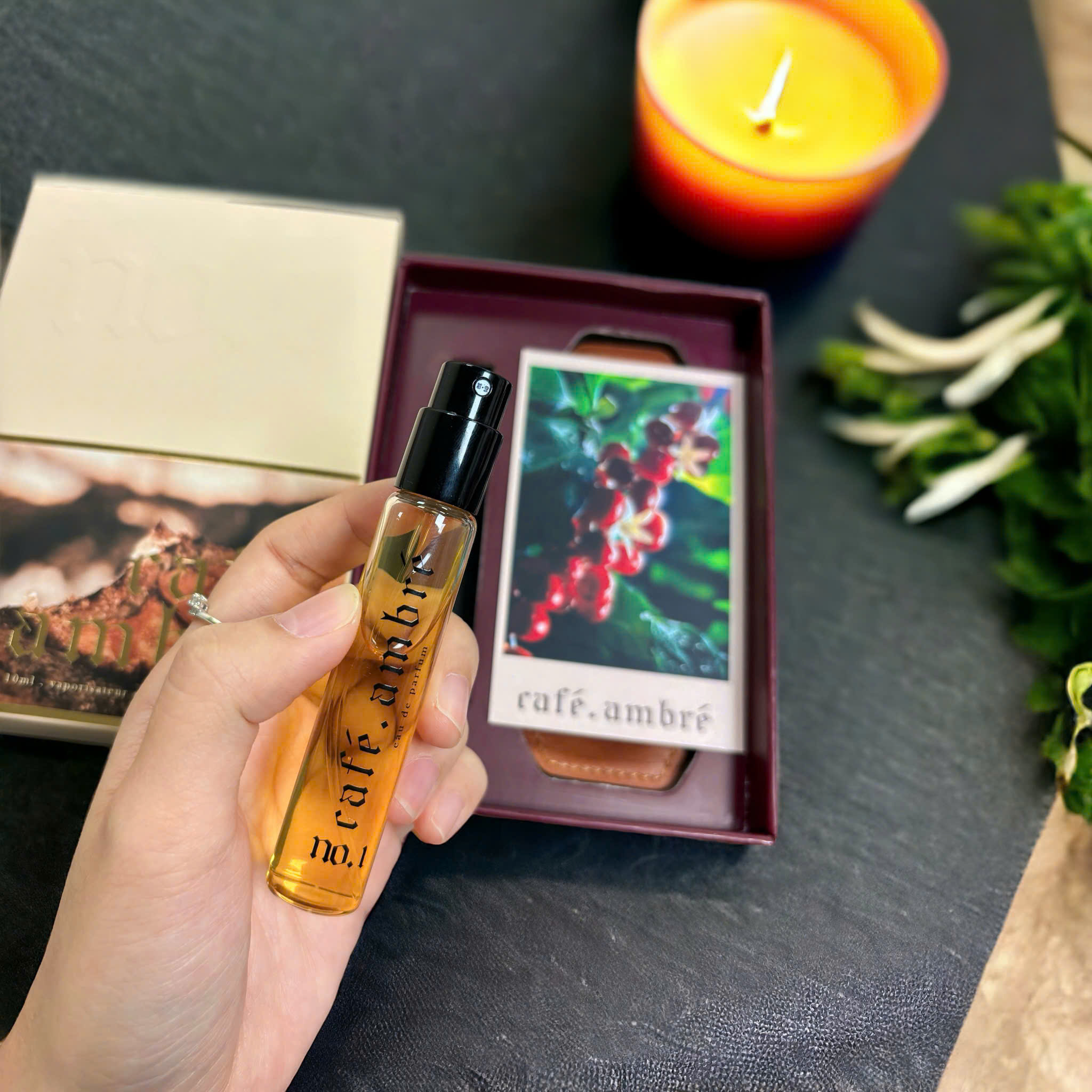 NƯỚC HOA CAFÉ AMBRÉ - Ảnh 6